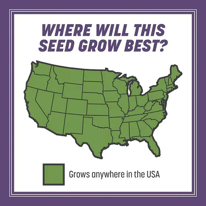 Utilo™ WeekendGreen™ Slow-Growing Lawn Seed