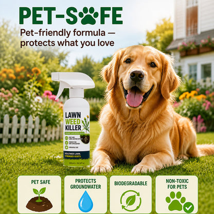 ⚡ [Easy and stress-free weeding in the garden] Herbicide for domestic use (offer)