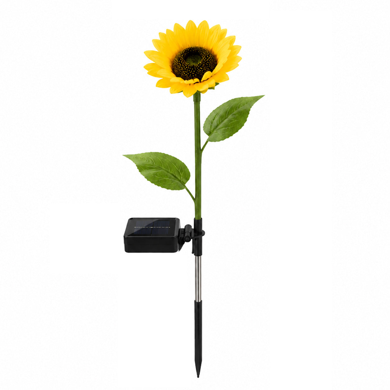Classic Bloom🌻Single-head