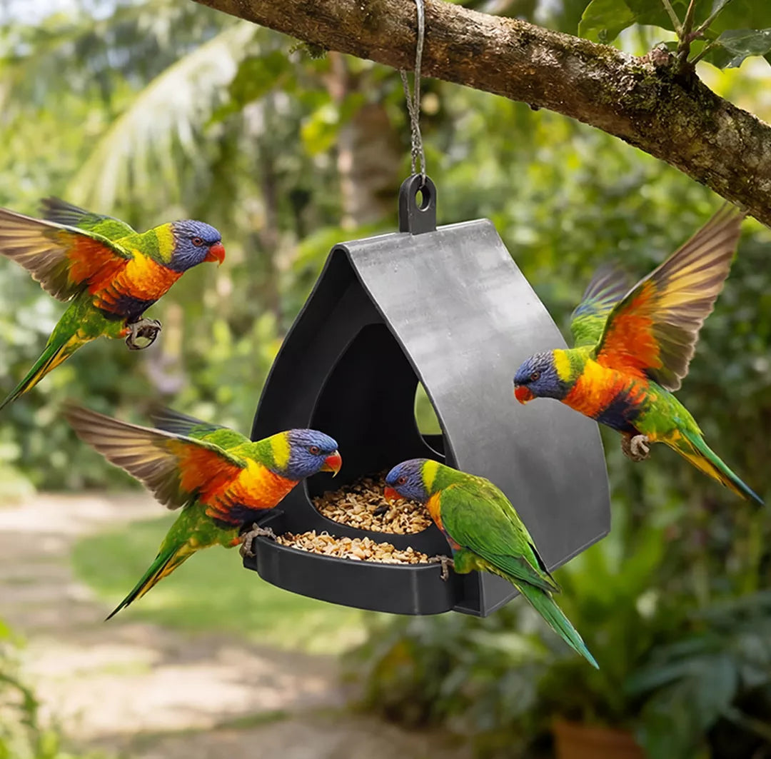 📢 55% off ⏰ Hanging bird feeder with roof – Easy observation, protected food & durable design! 🐦🌧️