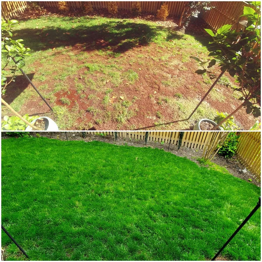 Utilo™ WeekendGreen™ Slow-Growing Lawn Seed