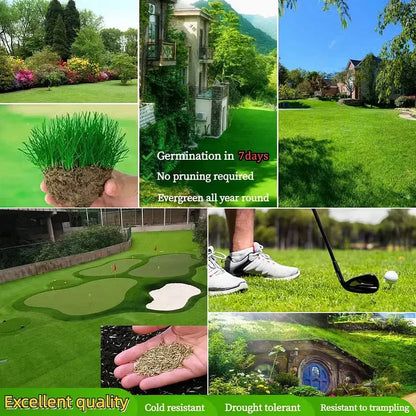 Utilo™ WeekendGreen™ Slow-Growing Lawn Seed (offer)