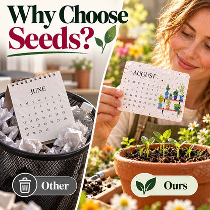 🌱 2027 Plantable Calendar – Use It. Plant It. Watch It Grow.☀（offer）