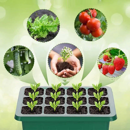 🔥🥳 HOT SALE 2026 🥳 💞 50,000+ SOLD!🎉Seed starter trays with grow light