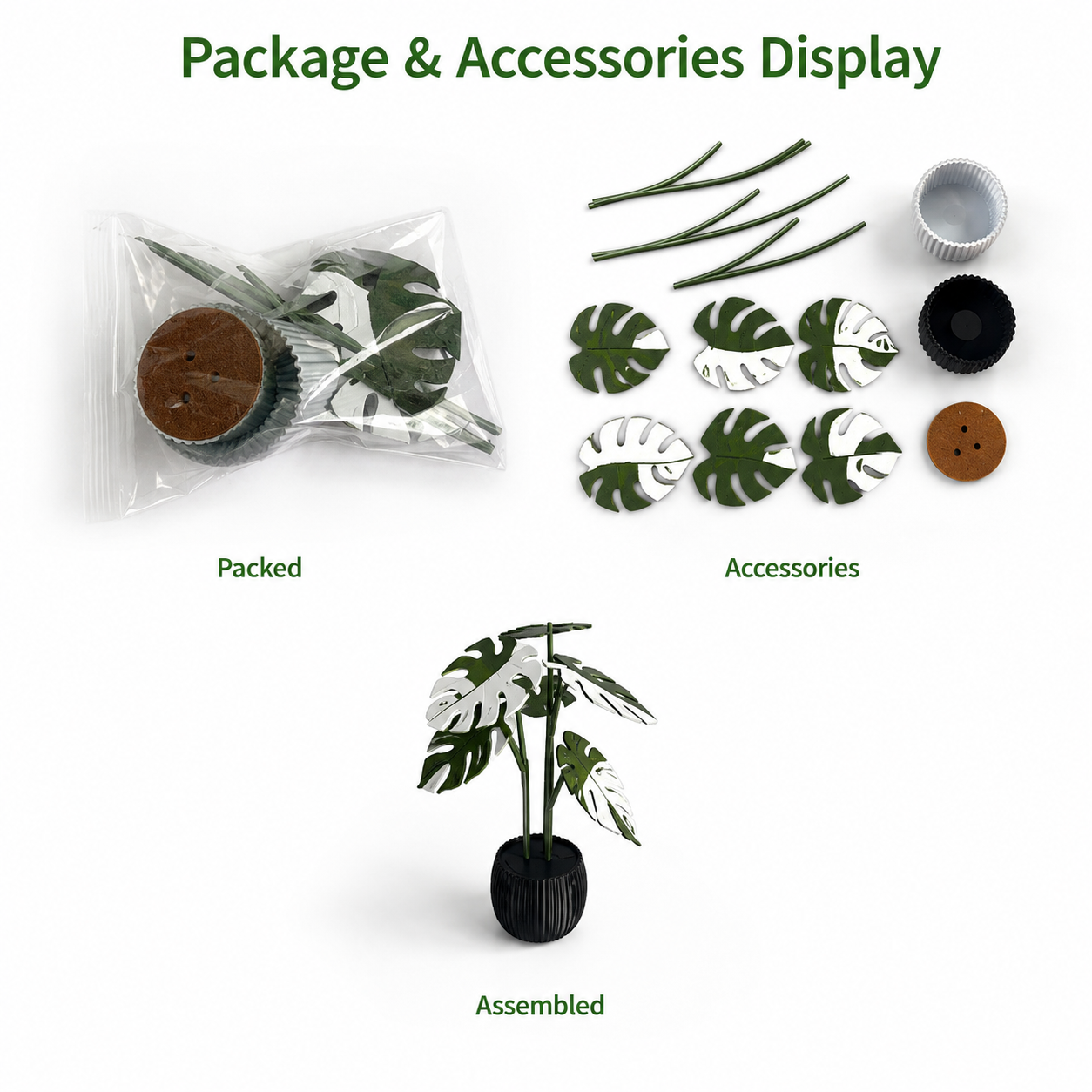 Utilo™ 2-in-1 Monstera Coaster Plant (offer)