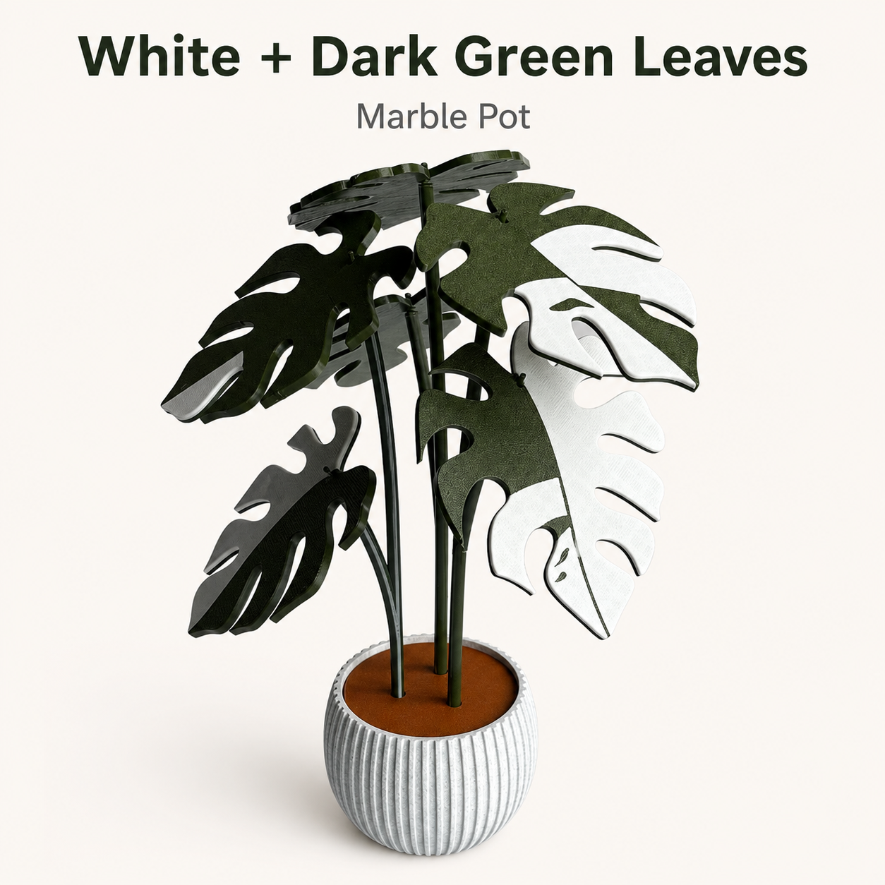 Utilo™ 2-in-1 Monstera Coaster Plant (offer)