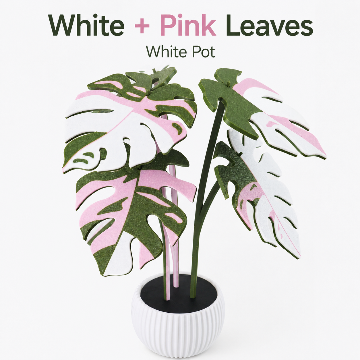 Utilo™ 2-in-1 Monstera Coaster Plant (offer)