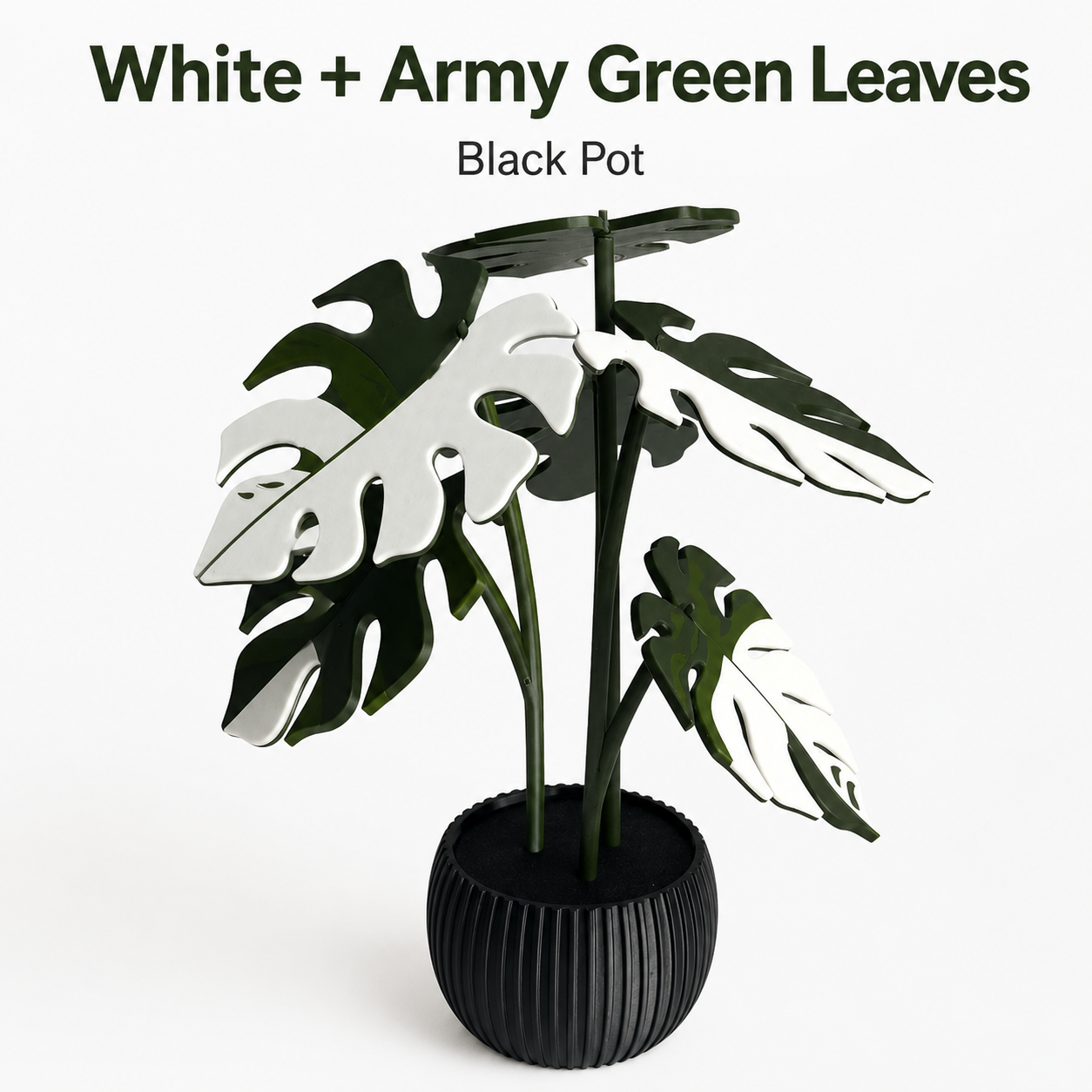 Utilo™ 2-in-1 Monstera Coaster Plant (offer)