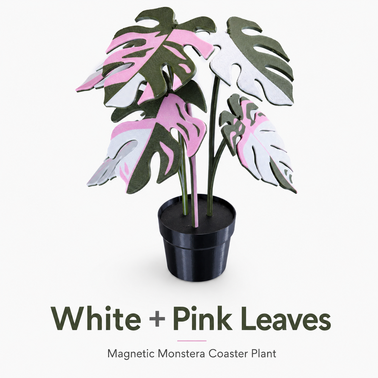 Utilo™ 2-in-1 Monstera Coaster Plant (offer)