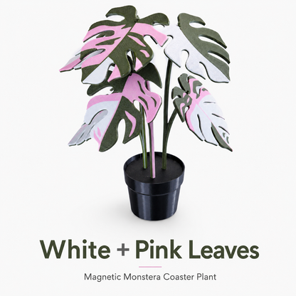 Utilo™ 2-in-1 Monstera Coaster Plant (offer)