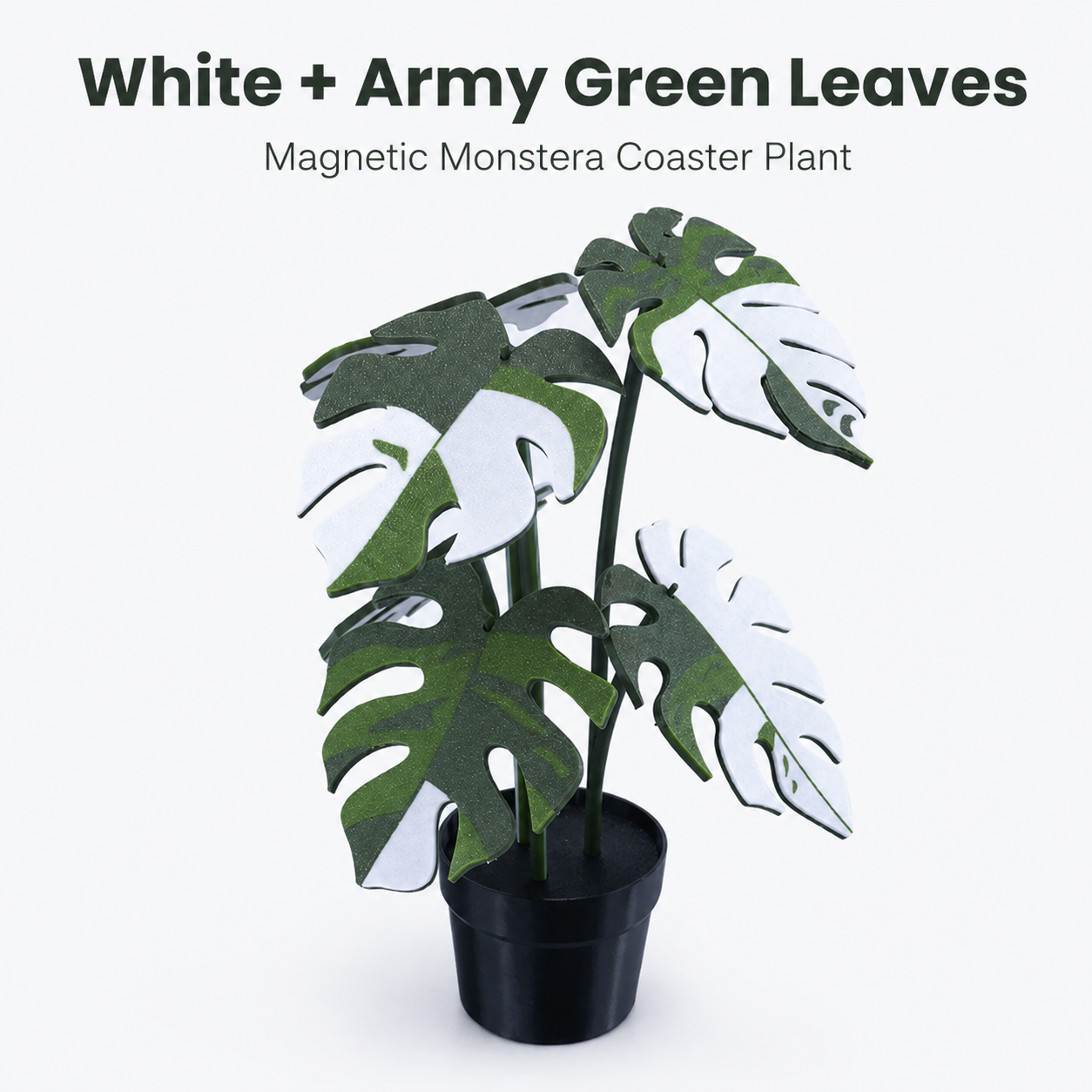 Utilo™ 2-in-1 Monstera Coaster Plant (offer)