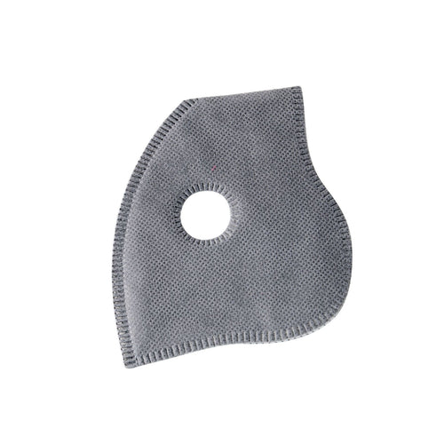 Mask Filter Insert