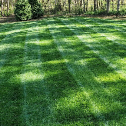 Utilo™ WeekendGreen™ Slow-Growing Lawn Seed