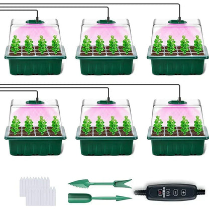 🔥🥳 HOT SALE 2026 🥳 💞 50,000+ SOLD!🎉Seed starter trays with grow light