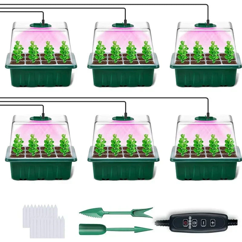 🥳 HOT SALE 2026 🥳 💞 50,000+ SOLD!🎉Seed starter trays with grow light (offer)
