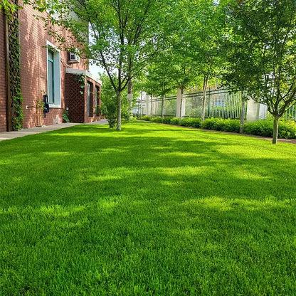 Utilo™ WeekendGreen™ Slow-Growing Lawn Seed