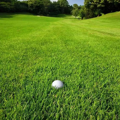 Utilo™ WeekendGreen™ Slow-Growing Lawn Seed (offer)